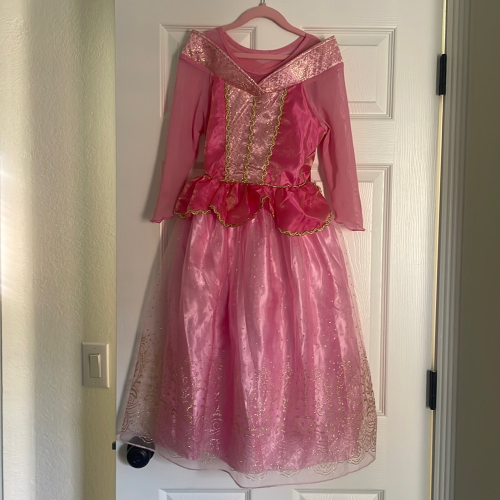 Sleeping Beauty Costume